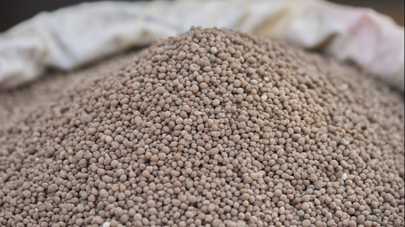 AMMONIATED SUPERPHOSPHATE FERTILIZERS / NP