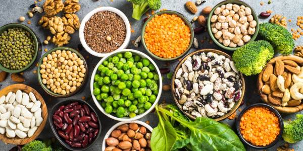 PLANT-BASED PROTEINS