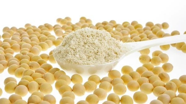 SOY PROTEIN ISOLATE